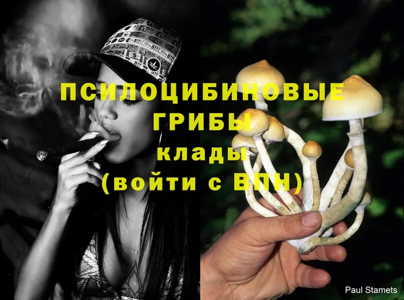 Галлюциногенные грибы Cubensis  Ярославль 